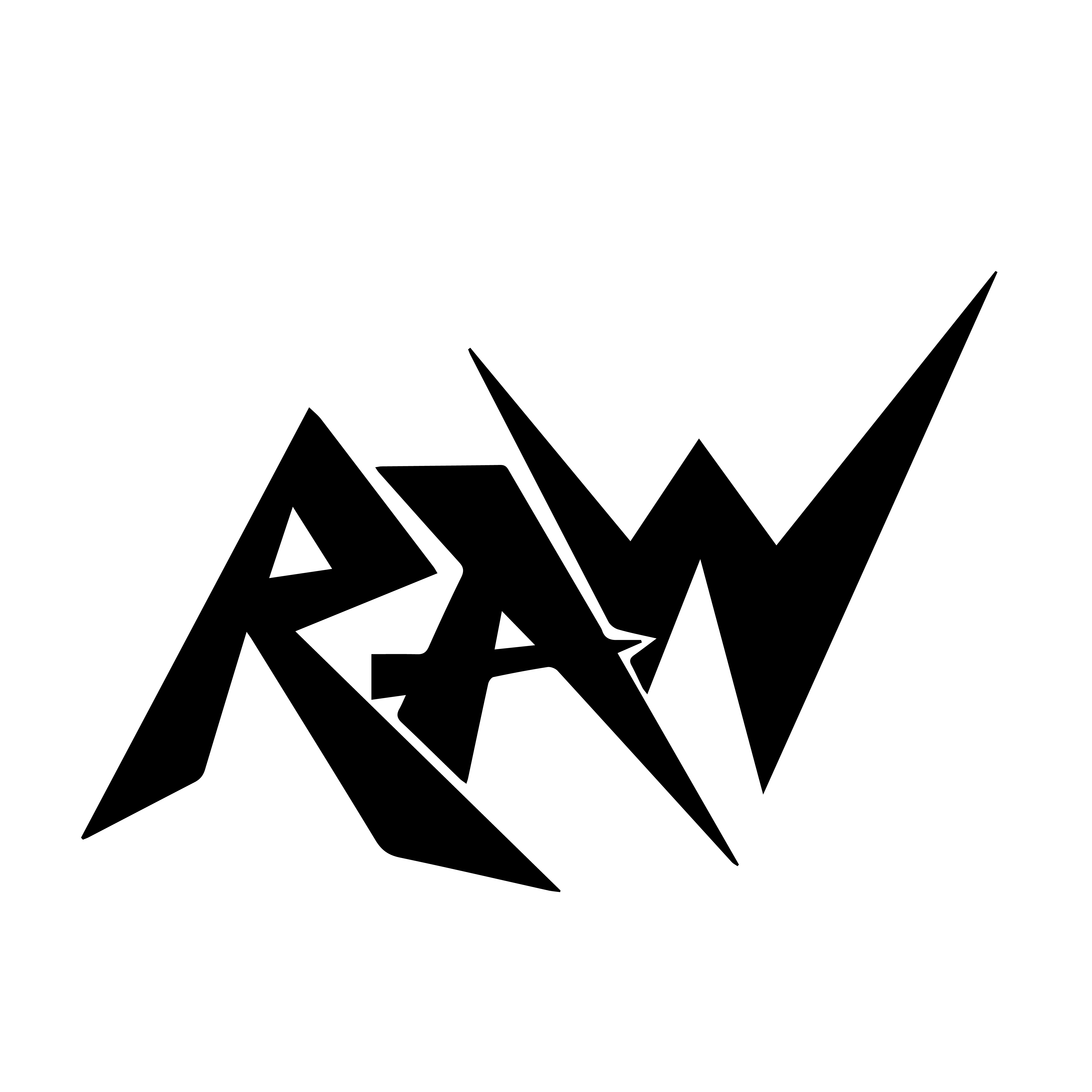RAWTrips logo
